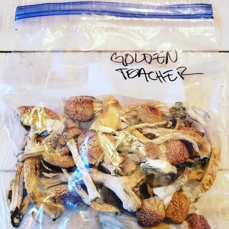 Golden Teacher