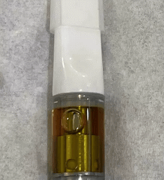 DMT: 12 Vape Cartridges