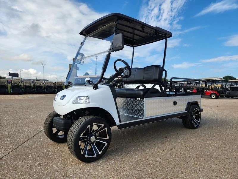 2024 EVolution Turfman 1000 Plus Golf Cart for Sale - Image 10