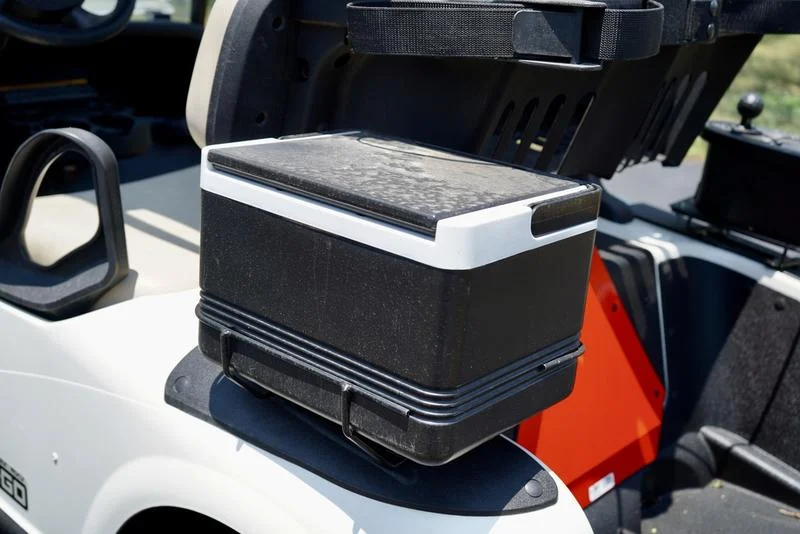 2010 E-Z-GO Freedom RXV 2 Passenger Golf Cart For Sale - Image 9