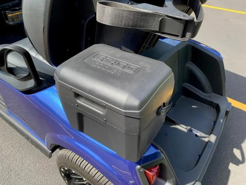 2020 E-Z-GO Fleet RXV ELiTE Golf Cart For Sale - Image 4