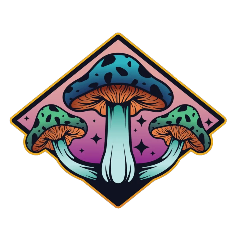 Canadian Psychedelic Store