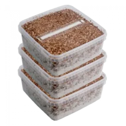 Buy Three Extra Large Magic Mushroom Grow Kits Package deal