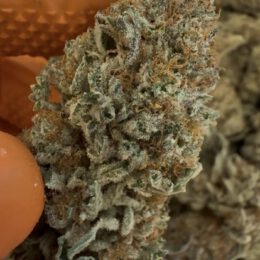 Cookies ( Strong Indica ) 3.5G