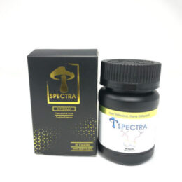 Spectra Mycelium – Gold | 200mg