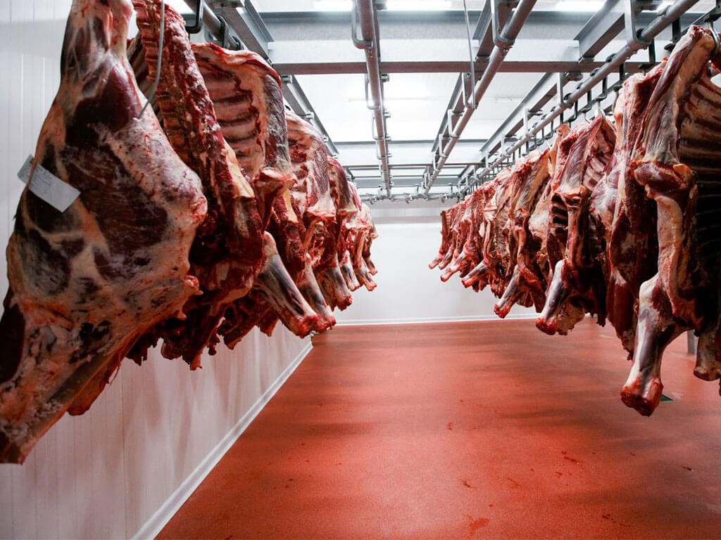 Quality Beef for Wholesale