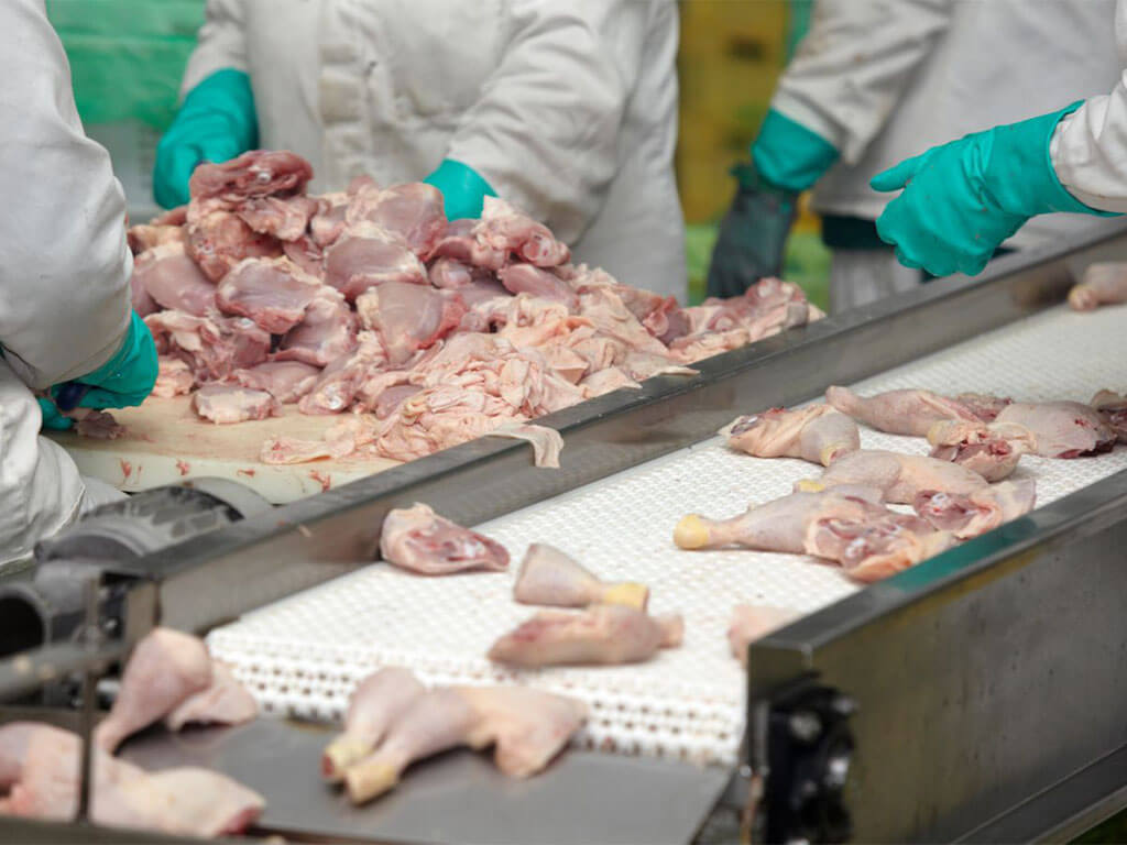Quality Chicken for Wholesale