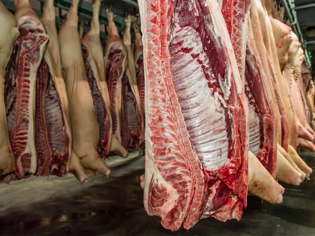 Quality Pork for Wholesale
