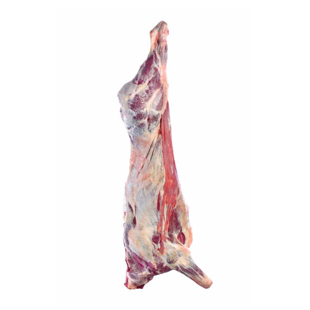 Whole Beef Carcass