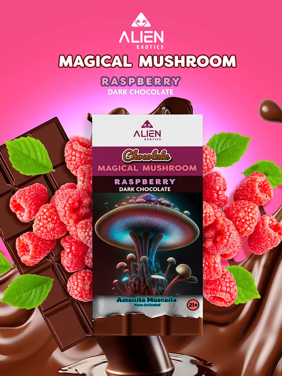 Raspberry Dark Chocolate Alien Exotics Chocolate Magic Mushroom Amanita Muscaria Nano Activated 45G - Image 2