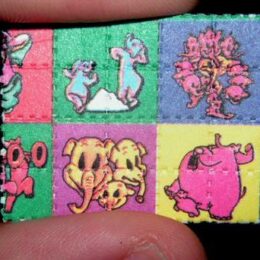 LSD Blotters |