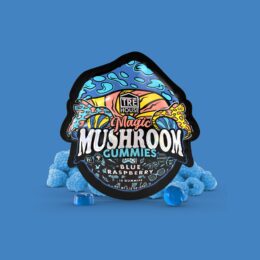 TRE House Mushroom Gummies