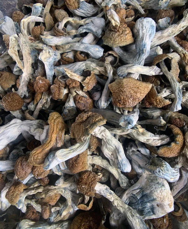 Buy Magic Mushrooms Online