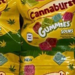 CANNABURST edibles 600mg per pack