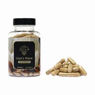 Lion’s Mane Extract – 120 Capsules