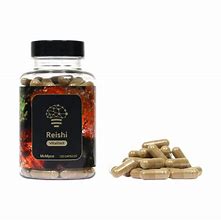 Reishi Extract – 120 Capsules