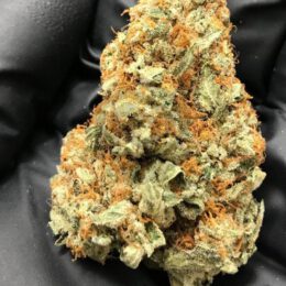 Purple Cookie Dawg [ INDICA ] 3.5G