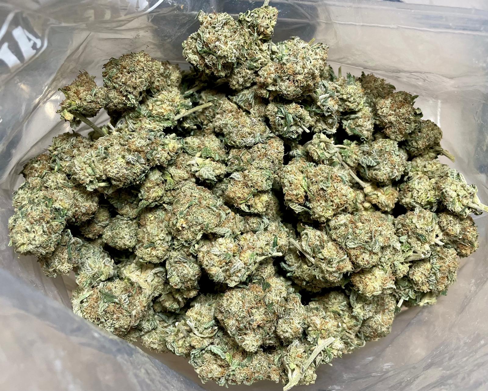 Premium Skunk 3.5G, Hybrid, 17% THC